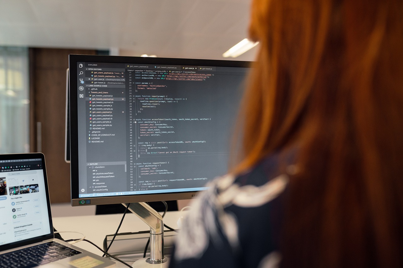 Software Development